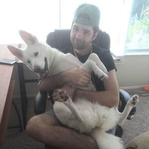 Meet your Posher, Logan